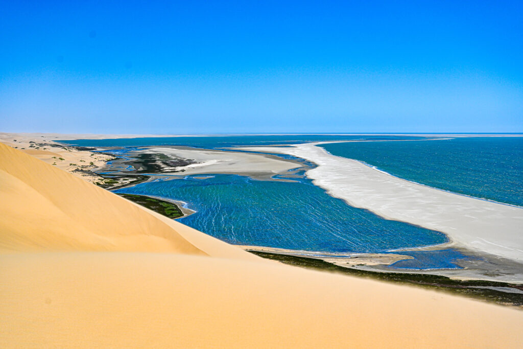 Pangaea Tours Dunes Walvis Bay Namibia Sandwich Harbour Desert & Dune Tours Pelican Point Seal Colony Birds & Lighthouse Tours Marine Cruises Seals, Dolphins & Whales