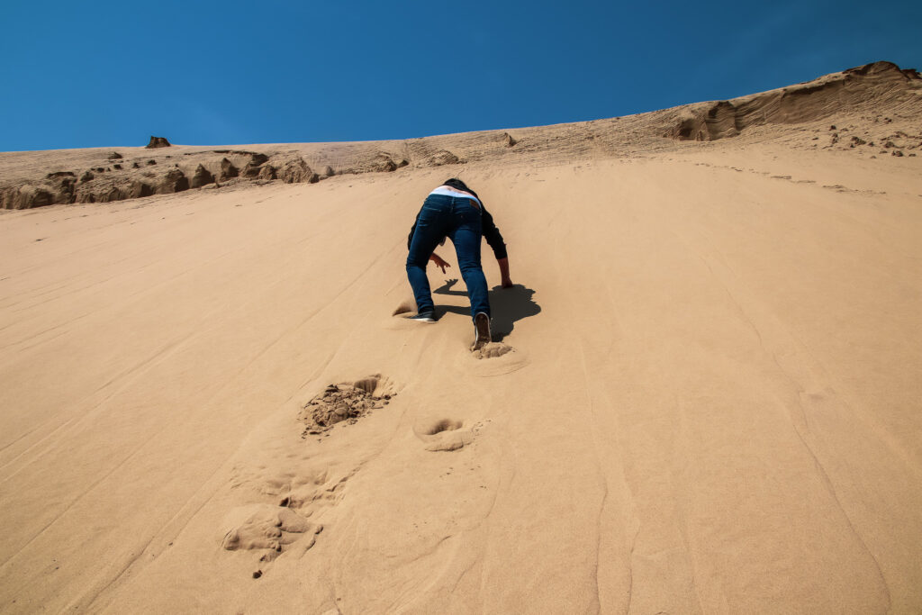 Pangaea Tours Dunes Walvis Bay Namibia Sandwich Harbour Desert & Dune Tours Marine Cruise Pelican Point, Seal Colonies Birds, Dolphins & Whales