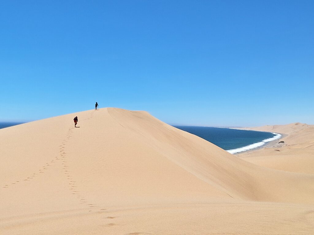 Pangaea Dune Tours walvis bay waterfront Namibia Swakopmund
Sandwich Harbour Desert Dune Tours Safari 4x4 
Marine Cruise Pelican Point, Seal Colonies Birds, Dolphins & Whales
oryx flamingo mola mola pelican 